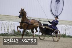 25R13_02799 thumbnail