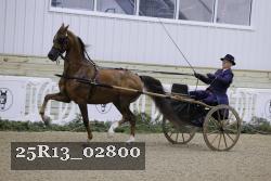 25R13_02800 thumbnail