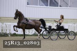 25R13_02803 thumbnail