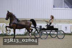 25R13_02804 thumbnail