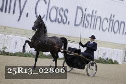 25R13_02806 thumbnail