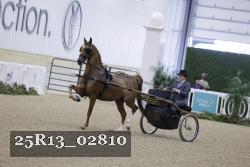 25R13_02810 thumbnail