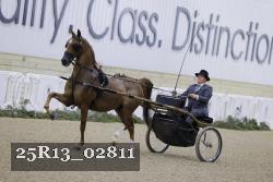 25R13_02811 thumbnail