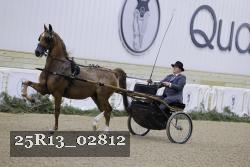 25R13_02812 thumbnail