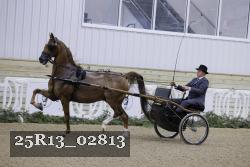 25R13_02813 thumbnail