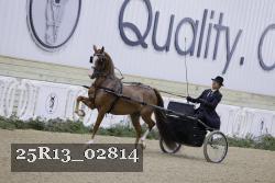 25R13_02814 thumbnail