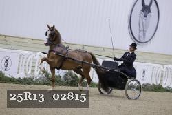 25R13_02815 thumbnail