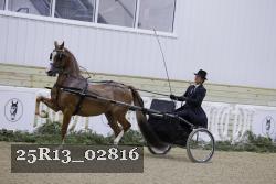 25R13_02816 thumbnail