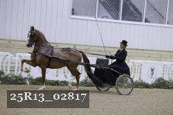 25R13_02817 thumbnail