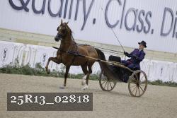25R13_02818 thumbnail
