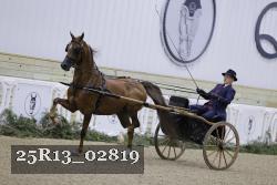25R13_02819 thumbnail