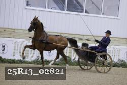 25R13_02821 thumbnail