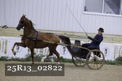 25R13_02822 thumbnail