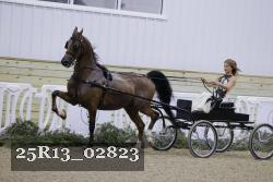 25R13_02823 thumbnail