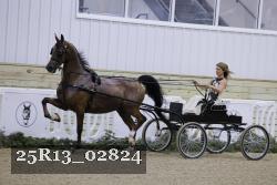 25R13_02824 thumbnail