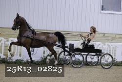 25R13_02825 thumbnail