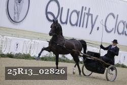 25R13_02826 thumbnail