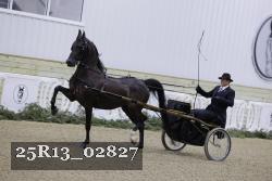 25R13_02827 thumbnail