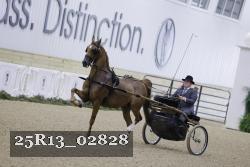 25R13_02828 thumbnail
