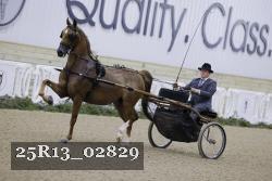 25R13_02829 thumbnail