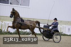 25R13_02830 thumbnail