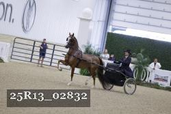 25R13_02832 thumbnail