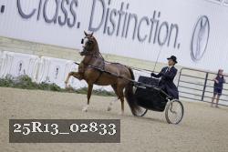 25R13_02833 thumbnail