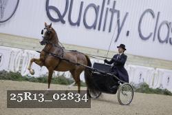 25R13_02834 thumbnail