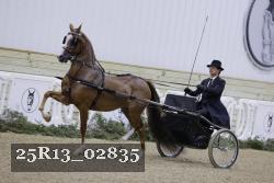 25R13_02835 thumbnail