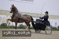 25R13_02836 thumbnail