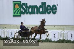 25R13_02837 thumbnail