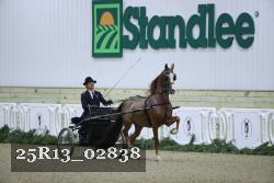 25R13_02838 thumbnail