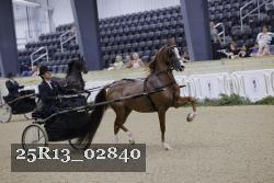 25R13_02840 thumbnail
