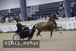 25R13_02841 thumbnail