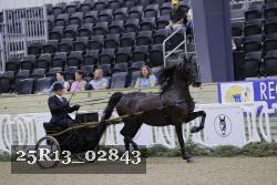 25R13_02843 thumbnail