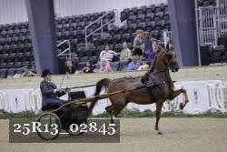 25R13_02845 thumbnail