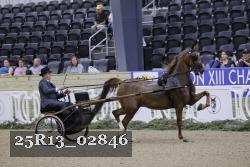 25R13_02846 thumbnail
