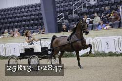 25R13_02847 thumbnail