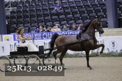25R13_02849 thumbnail