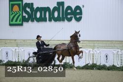 25R13_02850 thumbnail