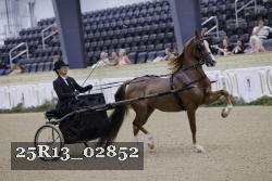 25R13_02852 thumbnail