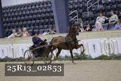 25R13_02853 thumbnail