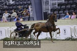 25R13_02854 thumbnail
