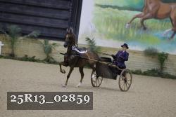 25R13_02859 thumbnail