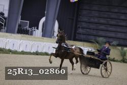 25R13_02860 thumbnail