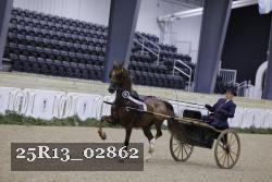 25R13_02862 thumbnail