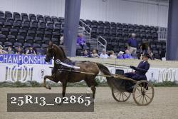 25R13_02865 thumbnail