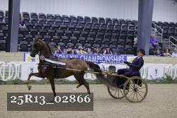 25R13_02866 thumbnail