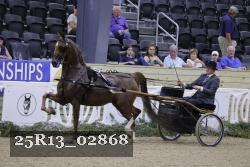 25R13_02868 thumbnail