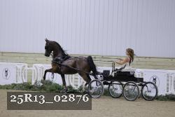 25R13_02876 thumbnail